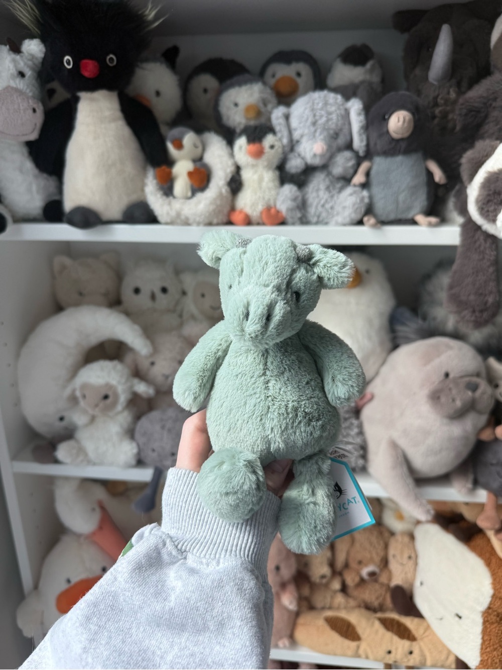 NWT Jellycat Small Bashful Dragon